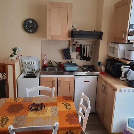 아파트 Geraniums 4 Mont-Dore